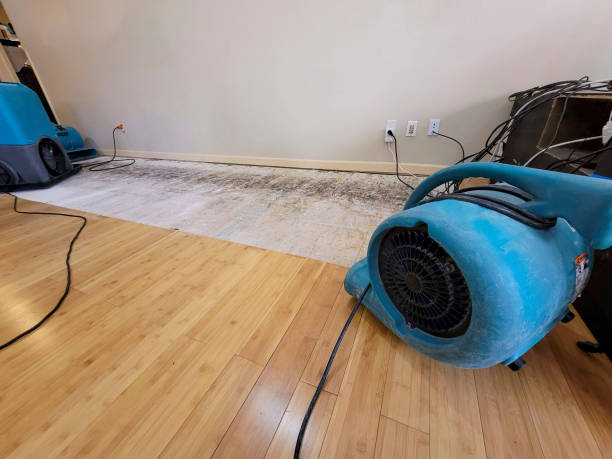 Professional Ceiling Water Damage Repair technician working in New Gloucester, ME